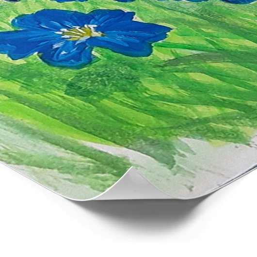 Poster fleurs de drapeau bleu (Coin)