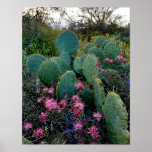 Poster Fleurs de duster rose et cactus de poires