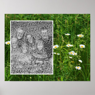 Poster Fleurs De Faisceau En Champ Ajouter Votre Photo