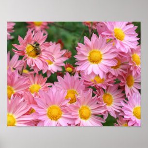 Poster Fleurs De Faisée Rose Et Abeille De Bumble