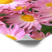 Poster Fleurs De Faisée Rose Et Miroir D'Abeille Bumble A (Coin)