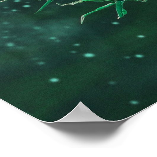 Poster Fleurs de fées au clair de lune de jade (Coin)