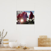 Poster Fleurs de flammes couchées* (Cuisine)