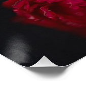 Poster Fleurs de fleurs 2 (Coin)