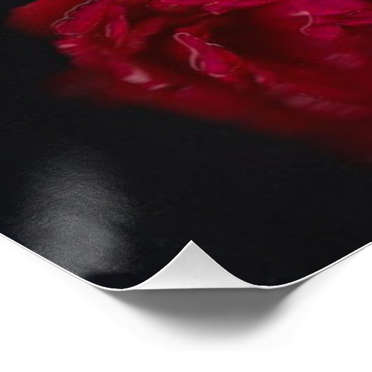 Poster Fleurs de fleurs 2 (Coin)