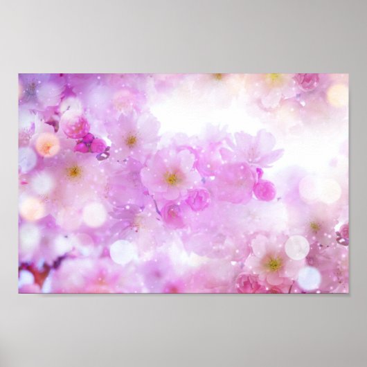 Poster Fleurs de fleurs de cerisier rose (Devant)