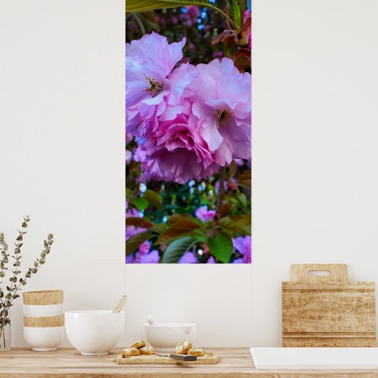 Poster Fleurs de fleurs de cerisier rose (Cuisine)