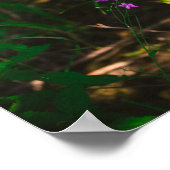 Poster Fleurs de forêts sauvages pourpres (Coin)