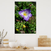 Poster Fleurs de Freesia Violettes (Cuisine)