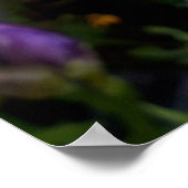 Poster Fleurs de Freesia Violettes (Coin)