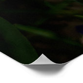 Poster Fleurs de Freesia Violettes (Coin)