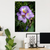 Poster Fleurs de Freesia Violettes (Bureau à domicile)