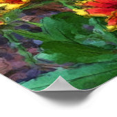 Poster Fleurs de Gaillarde Aquarelle (Coin)