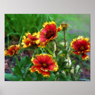 Poster Fleurs de Gaillarde Aquarelle