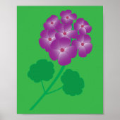 Poster Fleurs de géranium (Devant)