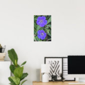 Poster Fleurs de Géranium Cranesbill Violet Floral (Bureau à domicile)