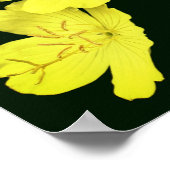 Poster Fleurs de géranium Jaune Flottantes (Coin)