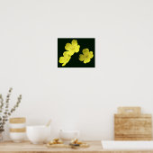 Poster Fleurs de géranium Jaune Flottantes (Cuisine)
