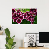 Poster Fleurs de géranium Regal Élégant Maroon Floral Lug (Bureau à domicile)