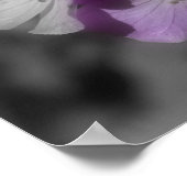 Poster Fleurs de géranium violet Couleur partielle (Coin)