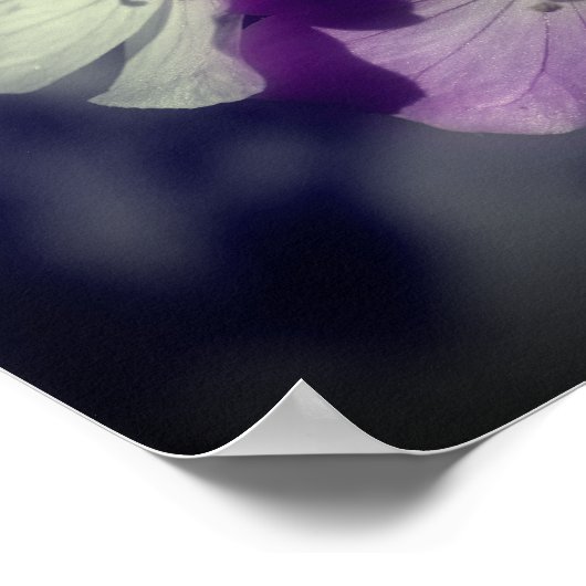 Poster Fleurs de géranium violet Couleur partielle (Coin)