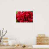 Poster Fleurs de gingembre, fleurs de Porto Rico (Cuisine)