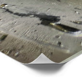 Poster Fleurs de glace, (Coin)