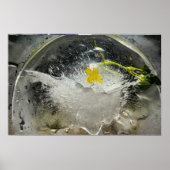 Poster Fleurs de glace, (Devant)