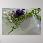 Poster Fleurs de Glace, (Devant)