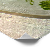 Poster Fleurs de Glace, (Coin)
