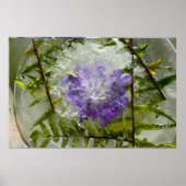 Poster Fleurs de Glace, (Devant)