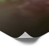 Poster Fleurs de Glace (Coin)