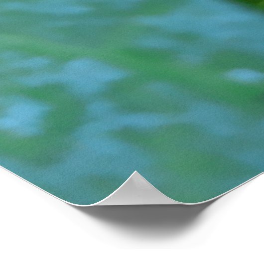 Poster Fleurs de gloire du matin, Ipomoea avec Raindrops (Coin)