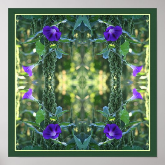 Poster Fleurs de gloire violet sauvage du matin Abstrait (Devant)
