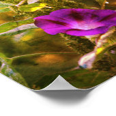 Poster Fleurs de gloire violet sauvage du matin Abstrait (Coin)