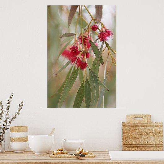 Poster Fleurs de gomme (Cuisine)