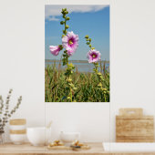 Poster Fleurs de hollyhocs roses (Cuisine)