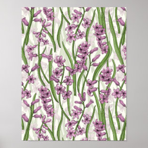 Poster Fleurs de Hyacinth rose sur blanc naturel