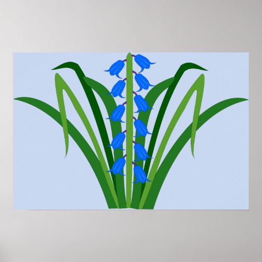 Poster Fleurs de Jacinthe bleue Bébé Garçon Printemps (Devant)
