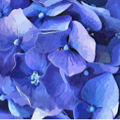 POSTER FLEURS DE JARDIN