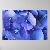 POSTER FLEURS DE JARDIN (Devant)