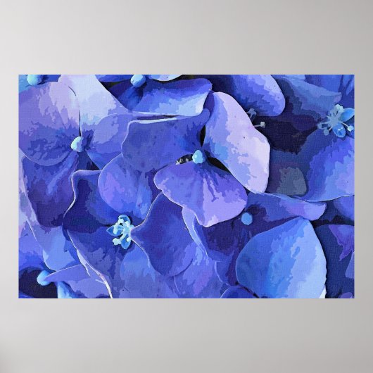 POSTER FLEURS DE JARDIN (Devant)