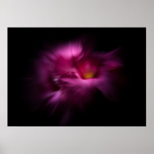 Poster Fleurs de jardin arrière n°2 Version Color Flow