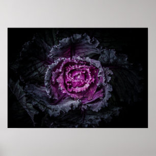 Poster Fleurs de jardin arrière N° 92 Version couleur