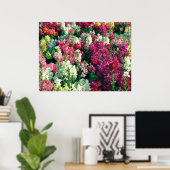 Poster Fleurs de jardin colorées (Bureau à domicile)