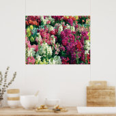 Poster Fleurs de jardin colorées (Cuisine)