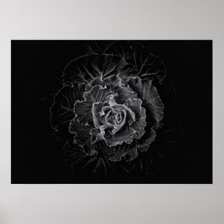 Poster Fleurs de jardin en noir et blanc n° 100