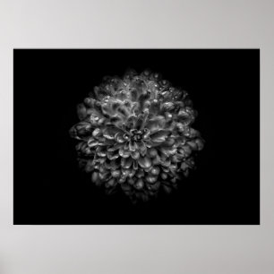Poster Fleurs de jardin en noir et blanc n° 46
