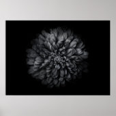 Poster Fleurs De jardin En Noir Et Blanc No 68 (Devant)
