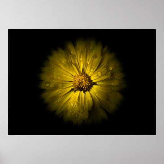 Poster Fleurs de jardin No 10 Version Flow (Devant)